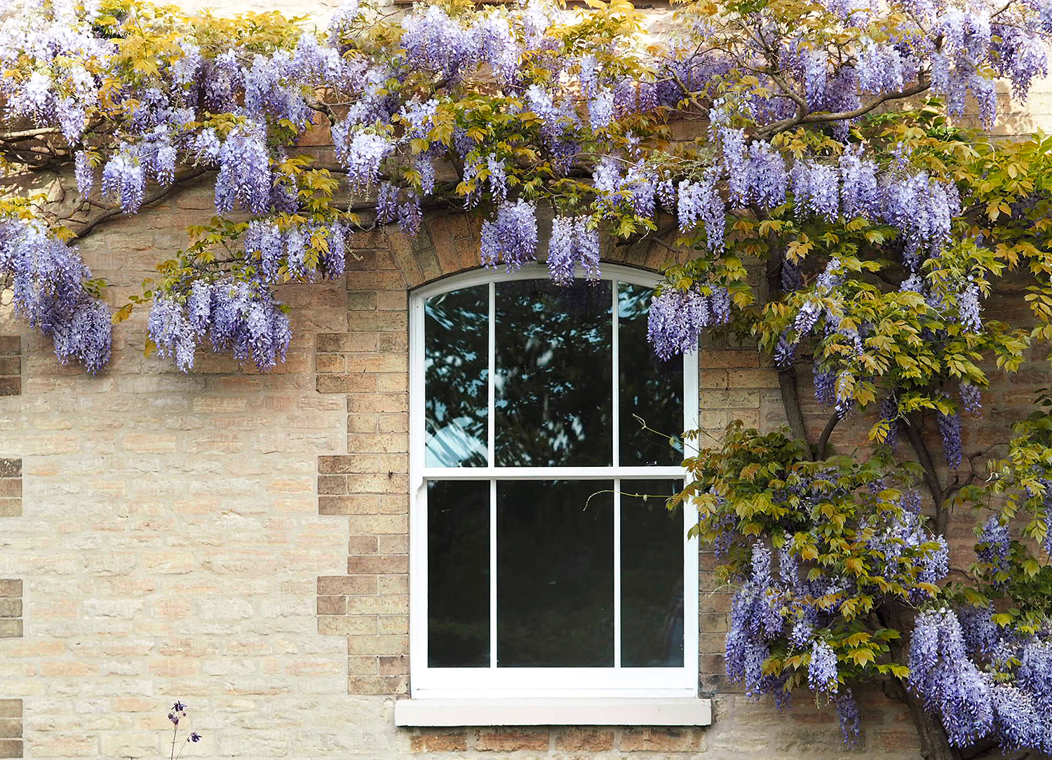 How Energy-Efficient Windows Can Save You Money on Your Energy Bills